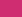 Hibiskus-Pink