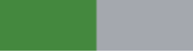 Bud-Green_Grey-(Solid)